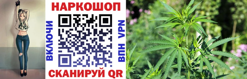 Названия наркотиков Полярные Зори МЕТАДОН  Конопля  Меф  ГАШ  Alpha-PVP 