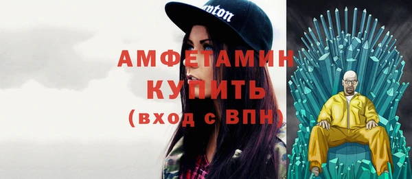 прущие крисы Ельня