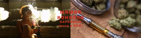 прущие крисы Ельня