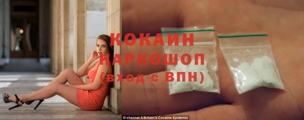 прущие крисы Ельня