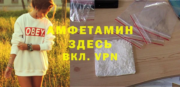 прущие крисы Ельня