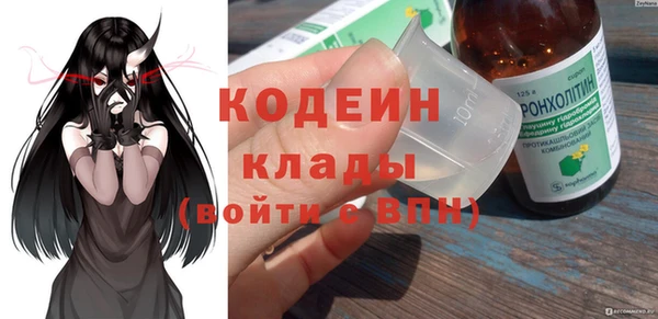 прущие крисы Ельня