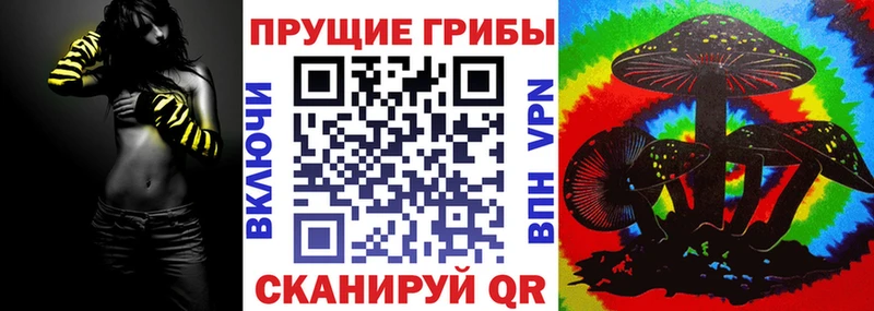 купить наркотик  Полярные Зори  Галлюциногенные грибы Magic Shrooms 