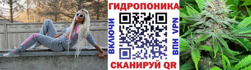 как найти   Полярные Зори  mega как войти  Конопля планчик 